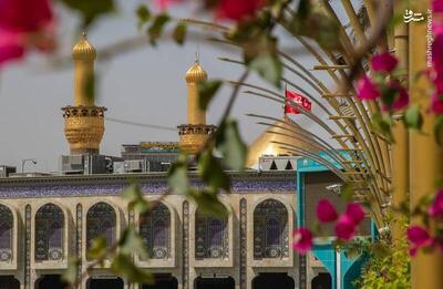 عکس/ بهار در بین‌الحرمین