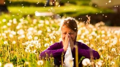 بهترین روش‌ها برای مقابله با آلرژی بهاری - راهنمای کامل
