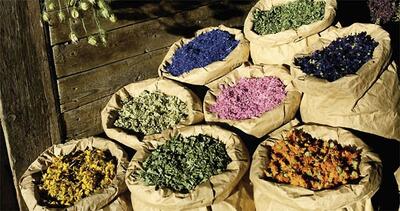 صادرات گیاهان دارویی اصفهان به ۳۰ میلیون دلار رسید