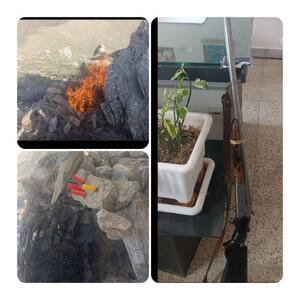 دستگیری متخلف سابقه دار شکار کبک در مریوان