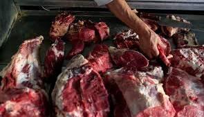 کشف گوشت اسب در یک منزل مسکونی