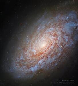 تصویر روز ناسا؛ کهکشان مارپیچی NGC 4414 با ظاهر کُرکی
