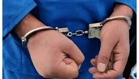 متهم اصلی زورگیری از دانشجوی گلستانی دستگیر شد