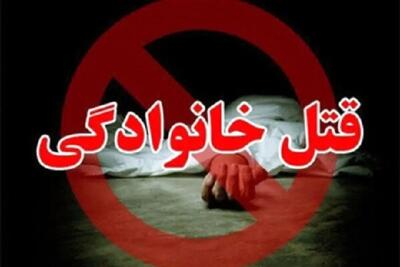 قاتل روانی همسرش را با پتک در خواب به قتل رساند