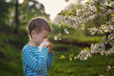 اثر گرده‌ها در بهار: چگونه از علائم آلرژی جلوگیری کنیم؟