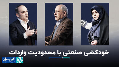 خودکشی صنعتی با محدودیت واردات+ فیلم