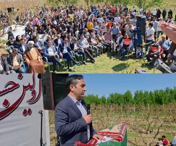 برگزاری نخستین جشنواره شکوفه‌های شلیل در بخش بران اصلاندوز