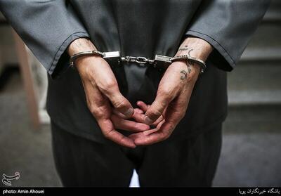 دستگیری یکی از مظنونان زورگیری از دانشجوی گلستانی