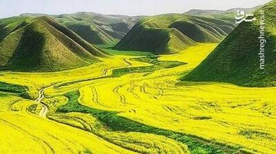 دفتر نقاشی بهار در استان گلستان