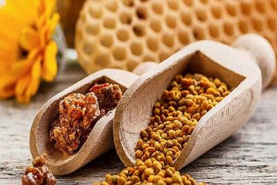 توسعه مکمل‌های انسانی و دامی بر پایه خواص مخمرها