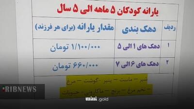 سبد غذایی کودکان زیر ۵ سال شارژ شد/ کد دستوری دریافت