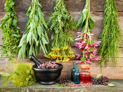 هر گیاهی را در کوه و صحرا نخورید/ مراقب سبزیجات سمی باشید