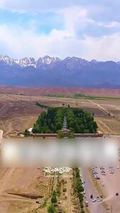 فیلم / زیبایی حیرت‌انگیز باغ شاهزاده ماهان