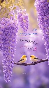 فال کات شده ها + فیلم