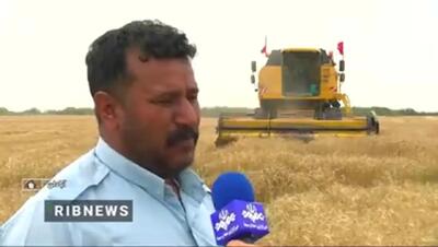 آخرین خبر از خرید تضمینی گندم امروز دوشنبه ۱۸ فروردین ۱۴۰۴ + ویدئو