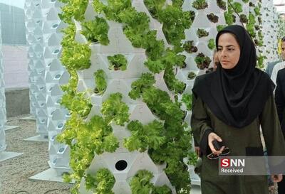 راه اندازی گلخانه ایروپونیک با آب کمتر و محصول بیشتر در شهرستان هامون