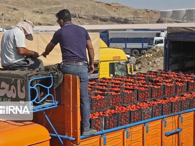 مجوز پذیرش کامیون‌های حامل گوجه‌فرنگی از سوی طرف عراقی در مرز پرویزخان صادر شد