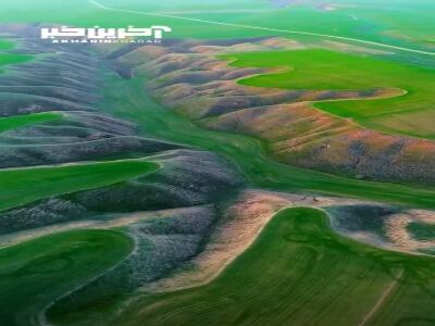 ترکمن صحرا؛ هنر دست طبیعت