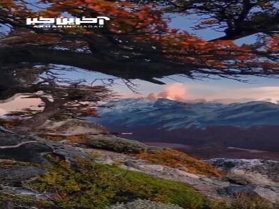 قابی زیبا از ال شالتن در آرژانتین