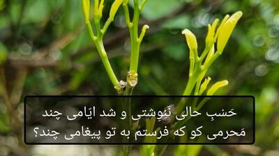 امروز با حافظ: مَحرمی کو که فرستم به تو پیغامی چند؟