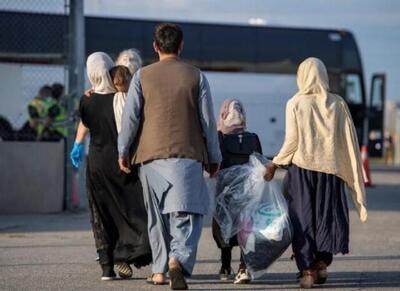 آیا ۱۷ میلیون افغانی در ایران حضور دارند؟ - اکونیوز
