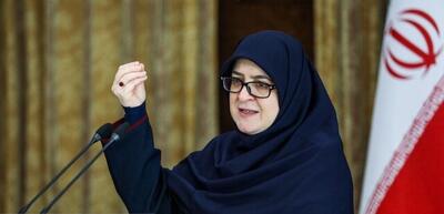 سخنگوی دولت: فعالیت هسته‌ای ایران صلح‌آمیز است