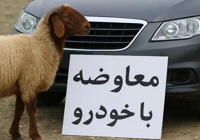 وقتی پژو 207 با گوسفند معاوضه می‌شود! |  انصاف نیوز