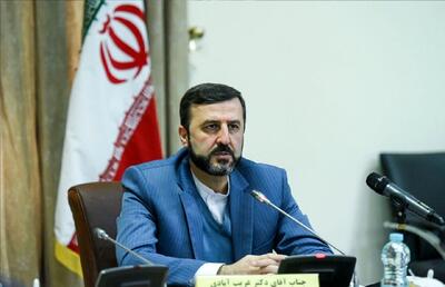 غریب‌آبادی: نشست سه‌جانبه ایران، چین و روسیه ثمربخش و سازنده بود