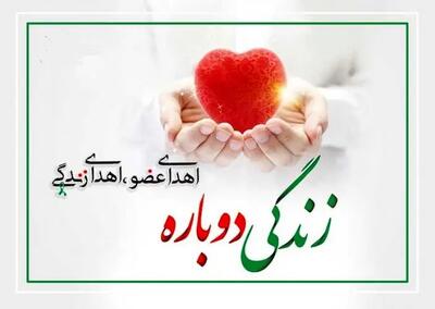 پرستار شیرازی پس از مرگ نیز نجات بخش جان بیماران شد