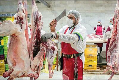 گوشت گران؛ 30 درصد واردات، سهم گوشت گرم