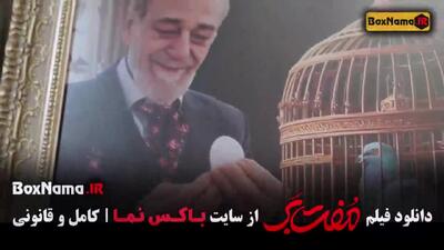 سینمایی کمدی مفت بر - حامد بهداد
