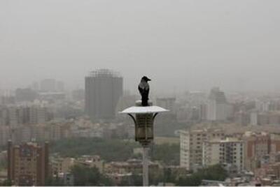 هوای تهران آلوده شد