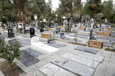 گنج‌یابی در بهشت زهرا/ میراث فرهنگی واکنش نشان داد