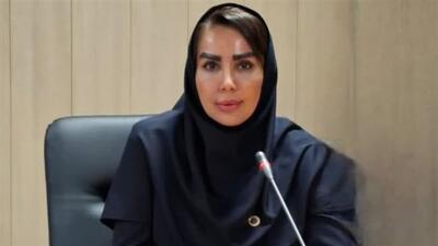 ناترازی در حوزه تسهیلات سرمایه در گردش از چالش‌های اصلی در حوزه سرمایه‌گذاری