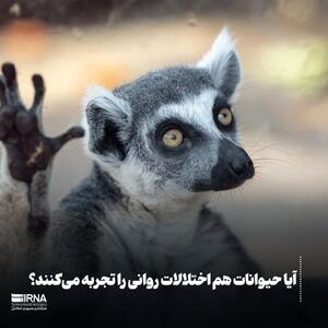 آیا حیوانات هم اختلالات روانی را تجربه می‌کنند؟ - سبک ایده آل
