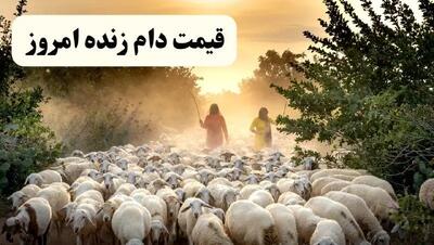 جدول قیمت دام زنده امروز ۱۹ فروردین ۱۴۰۴ | گوسفند زنده چند؟