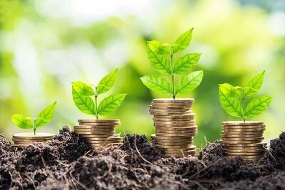 توسعه و اشتغال پایدار، ثمره سرمایه گذاری برای تولید است