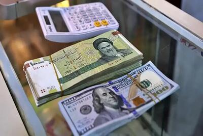 واکنش سخنگوی دولت به افزایش قیمت دلار/ نرخ ارز در بازار رسمی، ۶۶ تا ۶۸ هزار تومان است - تجارت‌نیوز