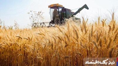 حداقل قیمت منطقی خرید تضمینی گندم ۲۴ هزارتومان است