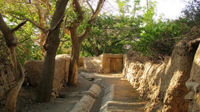 کوچه باغ دوباره شکوفه زد