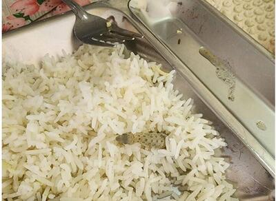 واکنش دانشگاه علوم پزشکی کاشان به مارمولک خبرساز - آینه فردا