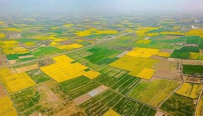 آزادسازی ۱۲ هزار مترمربع از اراضی ملی و دولتی خوزستان
