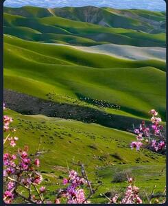 تصویری از طبیعت شگفت‌انگیز شهرستان زیبای درگز