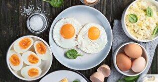 تخم مرغ/ قهرمان تغذیه یا تهدید برای قلب؟ نبرد علم و باورهای قدیمی