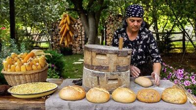 غذای روستایی در آذربایجان؛ برداشت ذرت و پخت نان با آن (فیلم)