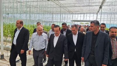 استاندار قزوین از بزرگترین گلخانه شیشه ای کشور در آبیک بازدید کرد 