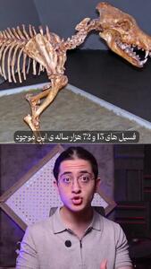 بازگشت گرگ وحشت منقرض شده پس از ۱۰ هزار سال
