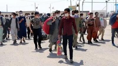 افغانستان اتباع اخراجی را نمی‌پذیرد/ تسهیلات ویژه ایران برای مهاجرین!