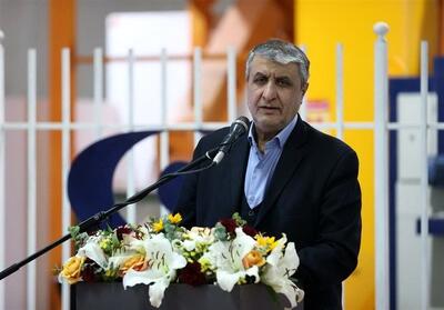 تمام زیرساخت‌های برنامه هسته ای ایران درون‌زا و کاملاً بومی است
