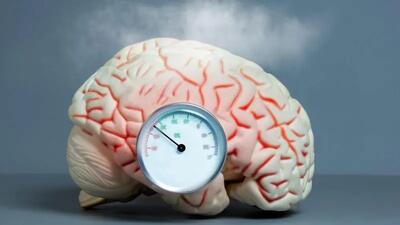 راه‌ کارهایی برای تعادل مزاج مغز